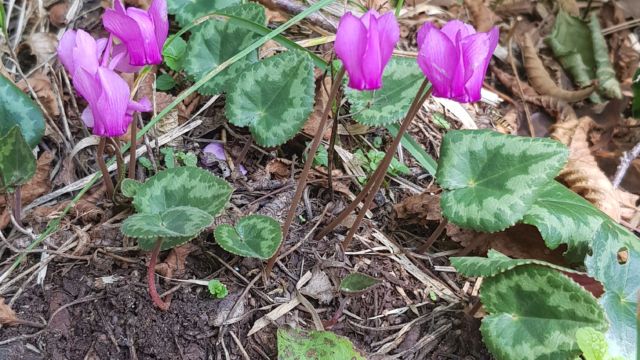 Rundwanderung oberhalb der Dolinen