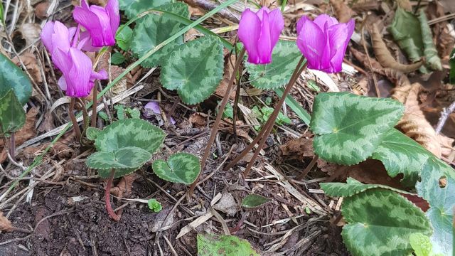 Rundwanderung oberhalb der Dolinen