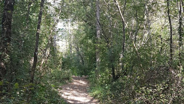 Rundwanderung oberhalb der Dolinen