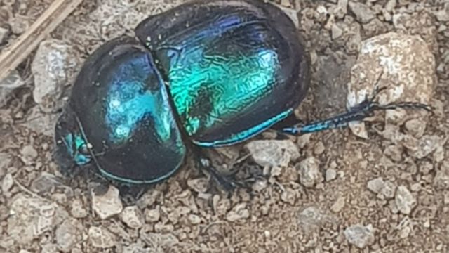 Rundwanderung oberhalb der Dolinen