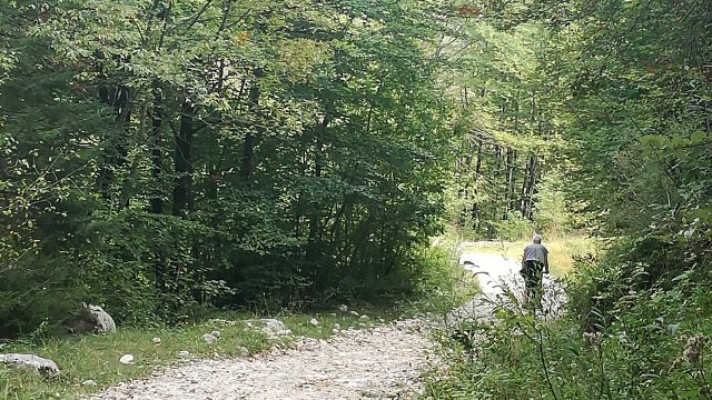 Man sieht es zwar schlecht, aber da ging es ganz schön bergab