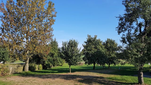 Sehr schönes Gelände mit Obstbäumen