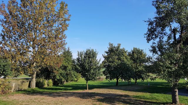 Sehr schönes Gelände mit Obstbäumen