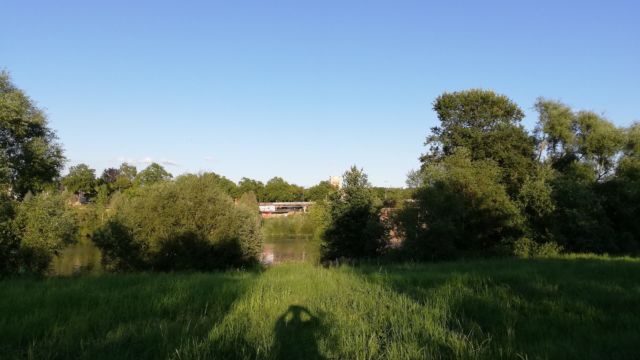 Gleich neben dem Stellplatz direkt an den Moselauen