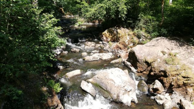 Unverschämt grün auussenrum