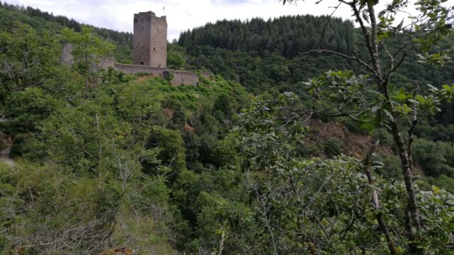 Blick auf die Oberburg von unterwegs dahin