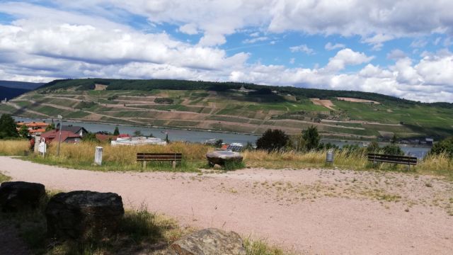 Aussicht auf Weinberge und auf das Niederwalddenkmal
