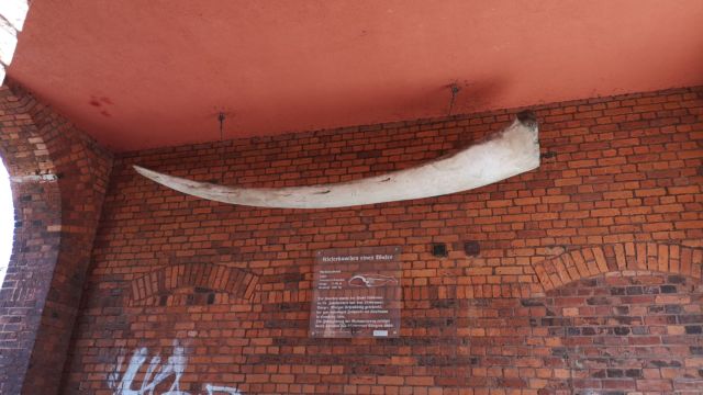 also manchmal fragt man sich dann doch, was ehmalige Einwohner dann für tolle Geschenke schicken...