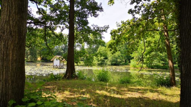 Direkt vom Campingplatz kurz mit dem Rad durch den Schlosspark ... und schwupps ist man in der Stadt