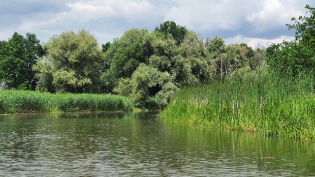 Kanufahrt im Oderbruch