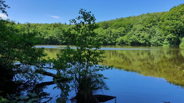 Auf dem Weg zum Königsstuhl