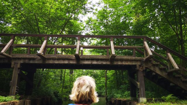Diese Brücken führen im Spreewald über die Fliesse