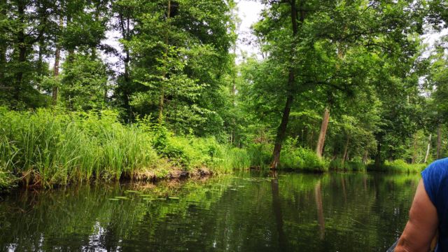 Mitten im Spreewald