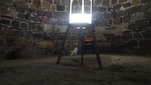 Die gefangene Ziege im Verlies des Turms