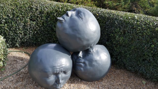 Die drei Lümmel liegen da einfach so rum...Da sind aber noch viel mehr von denen im Garten