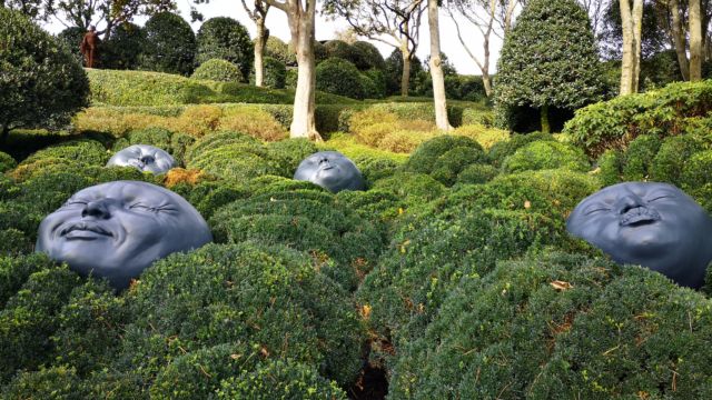 Ich sag ja, da liegen noch mehr von denen rum