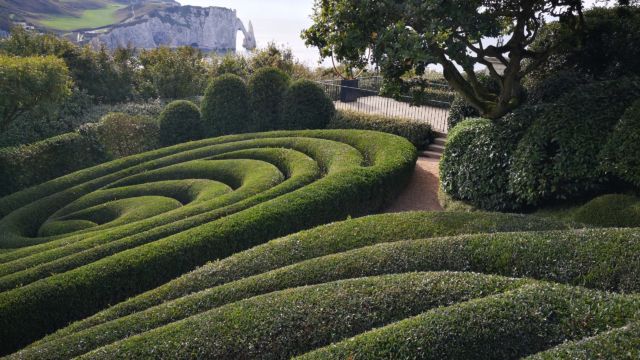 Sehr akkurat geschnittene Hecken