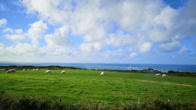 Irgendwo da hinten steht der Phare de Goury, so einigermassen der westlichste Punkt der Cotentin Halbinsel