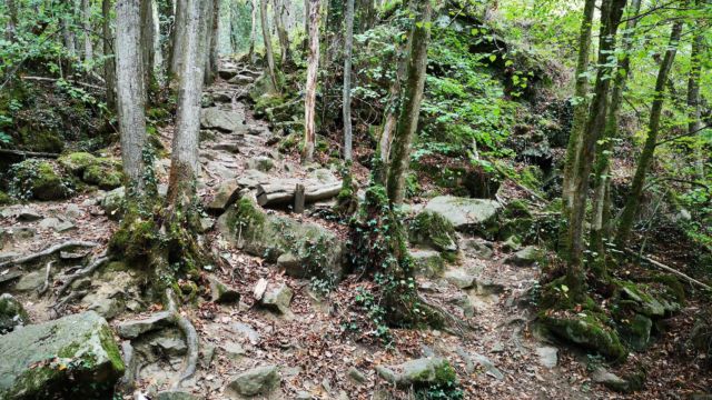 Man sieht es nicht auf dem Bild, aber da ging es ganz schön steil aufwärts