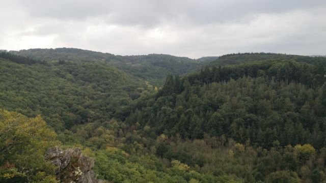 Toller Ausblick über die Landschaft. Und irgendwo da unten ist der Fluss