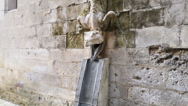 Von drer Burg selbst gibt es wohl Millionen Bilder. Von den Regen-Fallrohren wohl nur ein paar Tausend