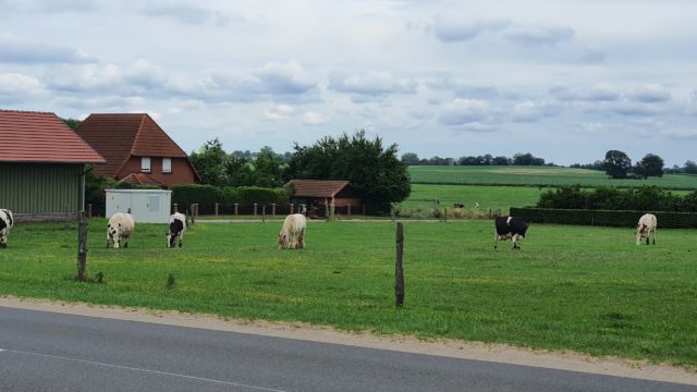 Irgendwas passt in diesem Bild nicht zum Rest